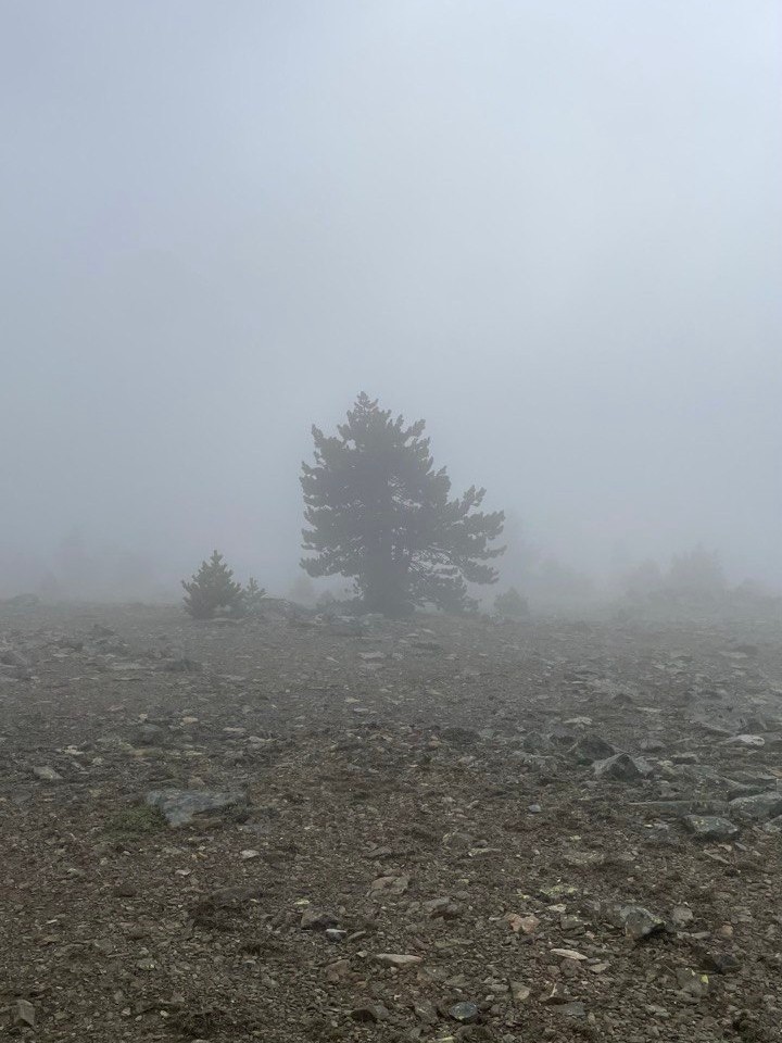 Fotoğraf 1